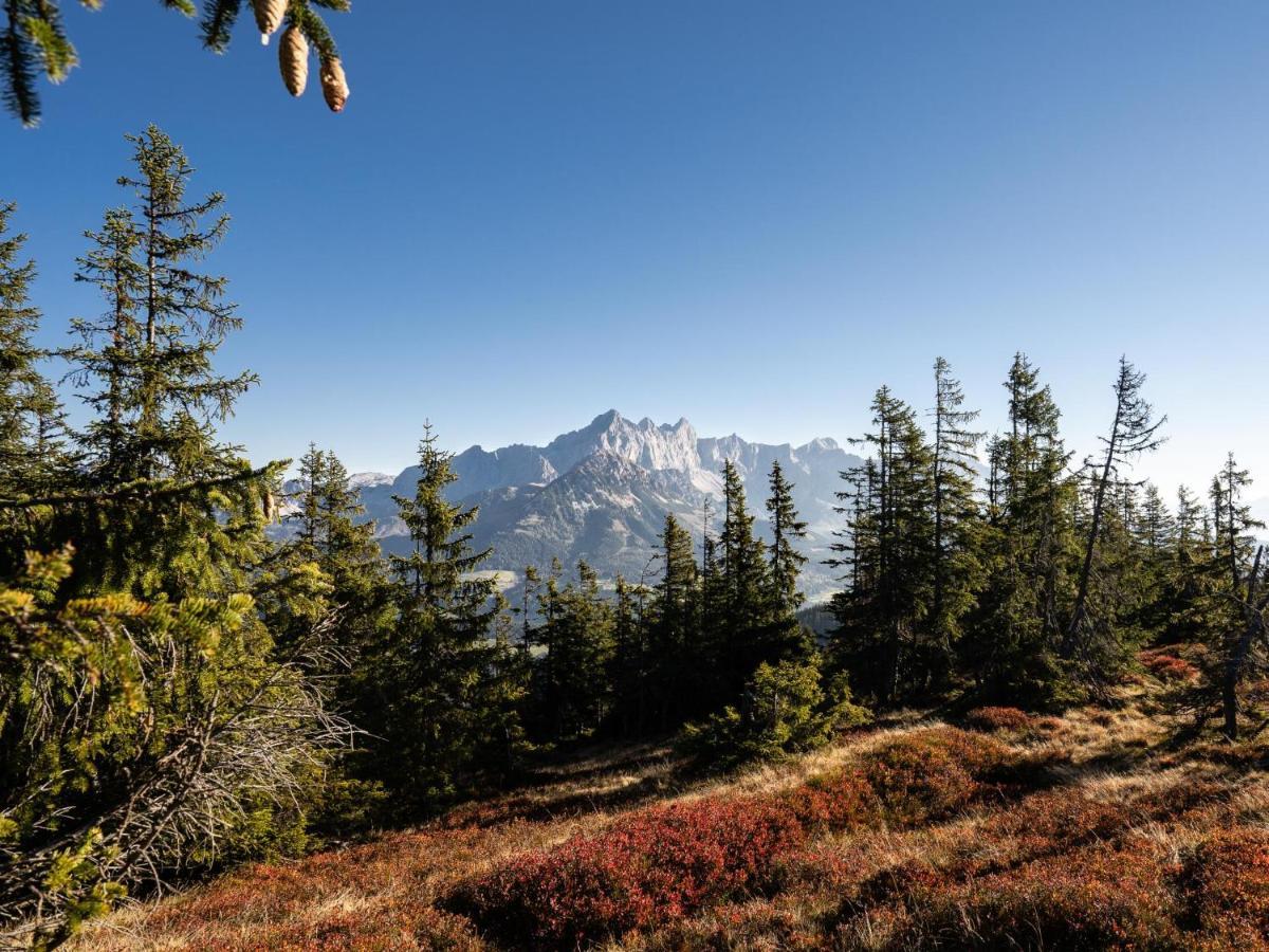 Schattbergblick Saalbach-Hinterglemm Exteriör bild
